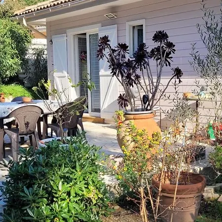 Chalet Oasis